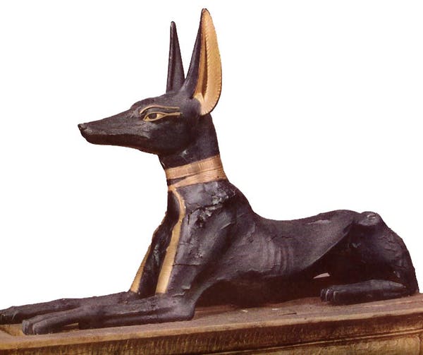 anubis