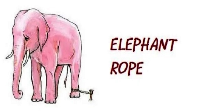 The Elephant Rope (Belief)