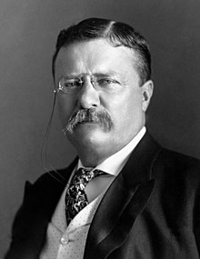 theodore roosevelt